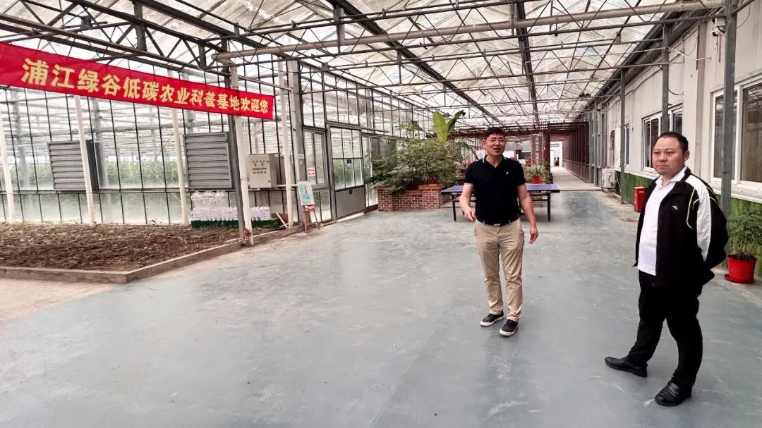 智擊體育